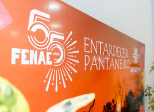55anos-fenae-painel1.jpg